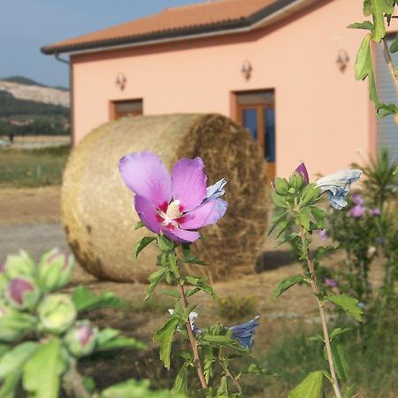 Agriturismo La Nocciolina Venturina Terme Zewnętrze zdjęcie