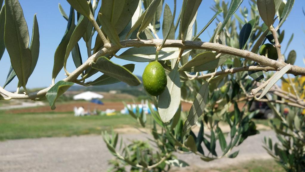 Agriturismo La Nocciolina Venturina Terme Zewnętrze zdjęcie