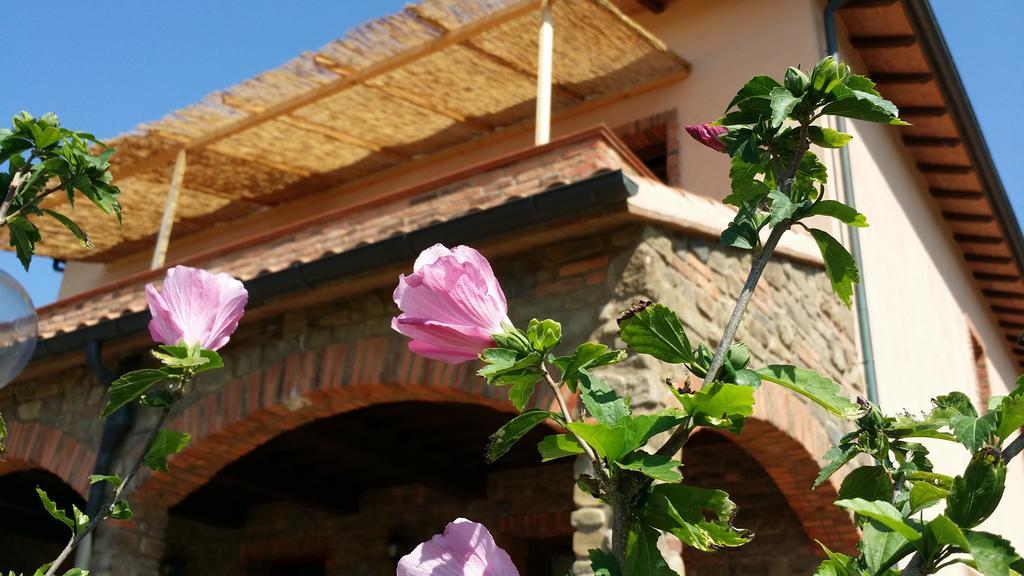 Agriturismo La Nocciolina Venturina Terme Zewnętrze zdjęcie