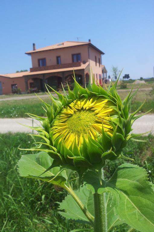 Agriturismo La Nocciolina Venturina Terme Zewnętrze zdjęcie