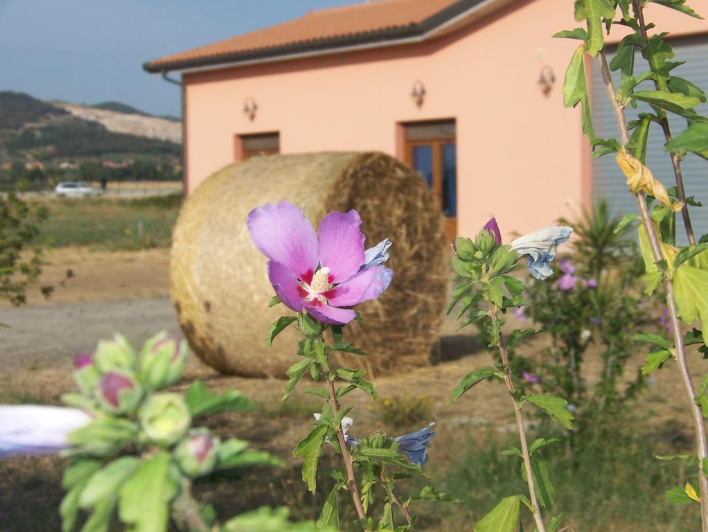 Agriturismo La Nocciolina Venturina Terme Zewnętrze zdjęcie