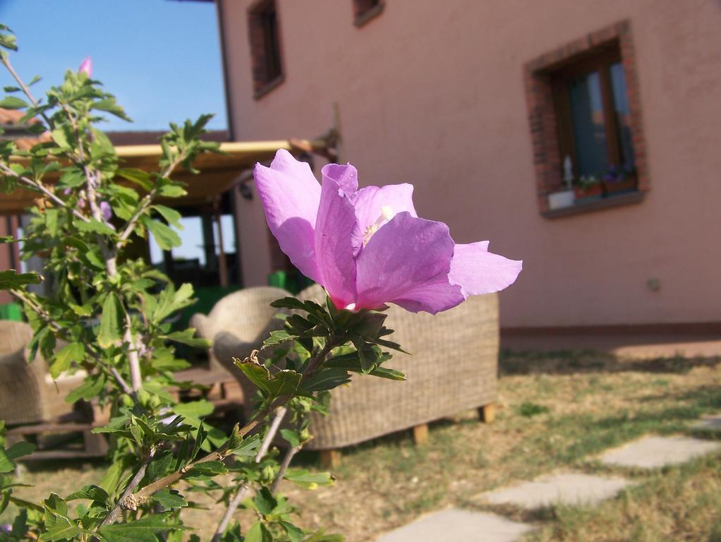 Agriturismo La Nocciolina Venturina Terme Zewnętrze zdjęcie